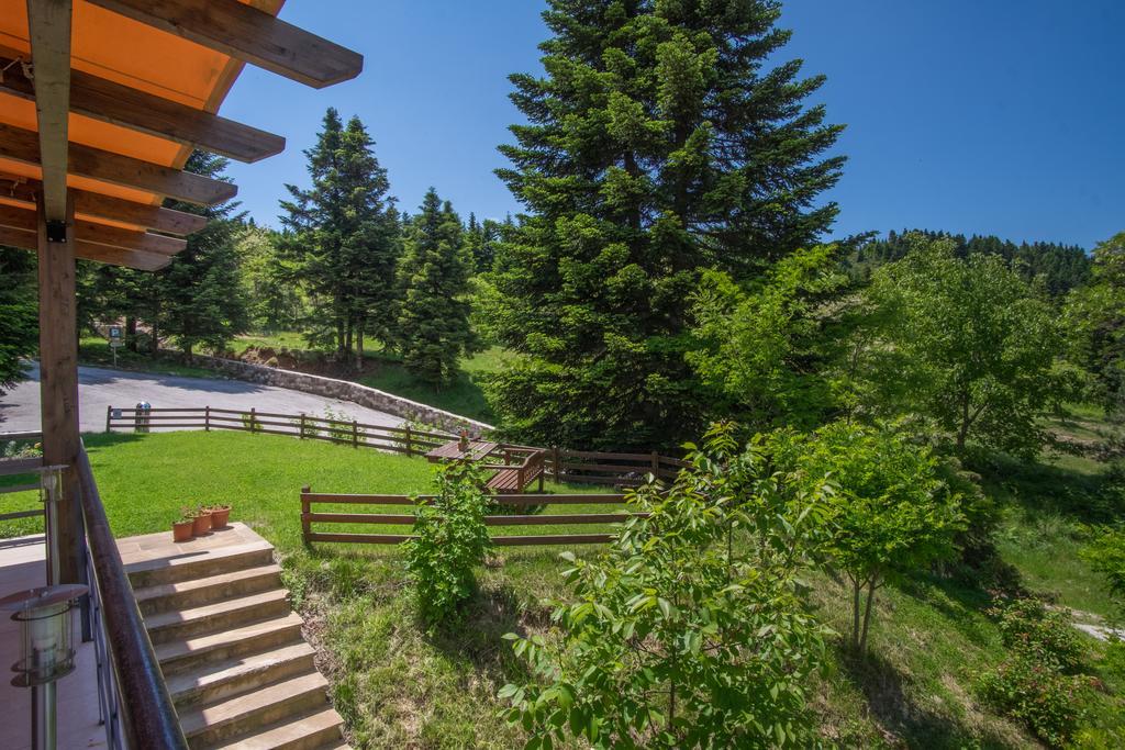Orizontes Tzoumerkon Hotel Resort プラマンタ エクステリア 写真