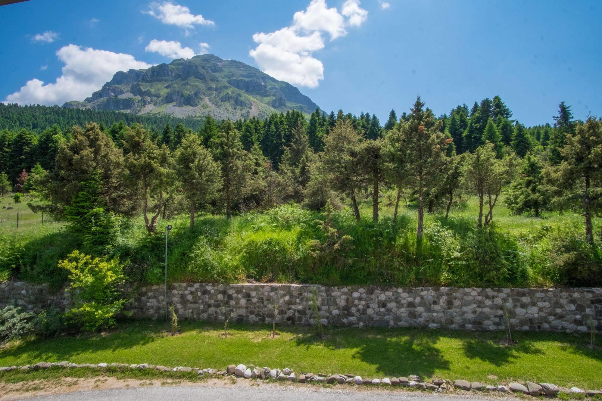 Orizontes Tzoumerkon Hotel Resort プラマンタ エクステリア 写真